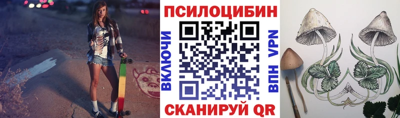 Псилоцибиновые грибы Magic Shrooms Почеп